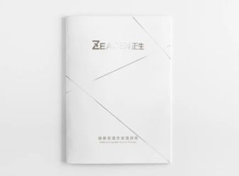 正生集團(tuán)畫(huà)冊(cè)
