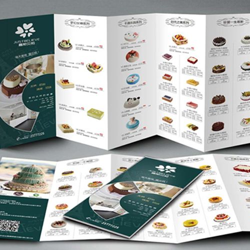 產(chǎn)品宣傳單批量定做五折頁多折頁印刷設(shè)計